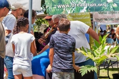Lā ‘Ulu - Breadfruit Institute booth