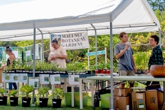 Lā ‘Ulu - MNBG native plant sale