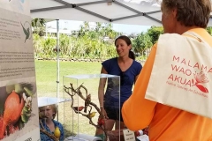 Lā ‘Ulu - Maui Forest Bird Recovery Project booth