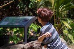 Lā ‘Ulu - Playing ‘ō’ō ‘ihe with mai'a targets