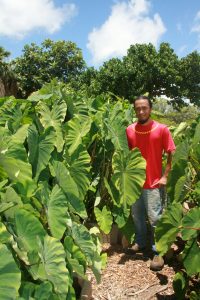 Mana Kalo with Namea Hoshino @ Maui Nui Botanical Gardens