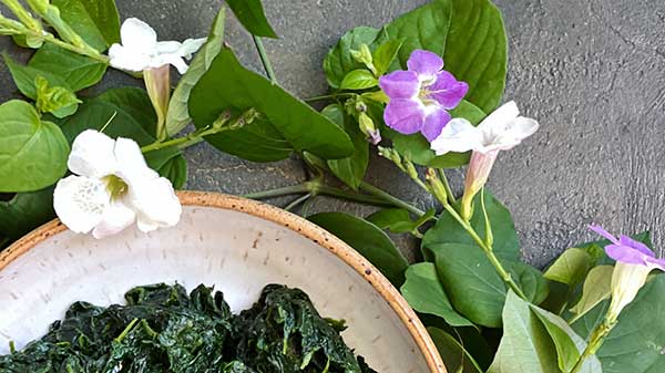Eating Invasives: Chinese Violet Workshop with Sunny Savage (In Person) @ Maui Nui Botanical Gardens