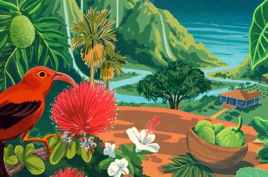 Grow Aloha illustration from mauka to makai