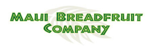 MBC logo
