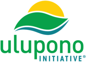 UI logo